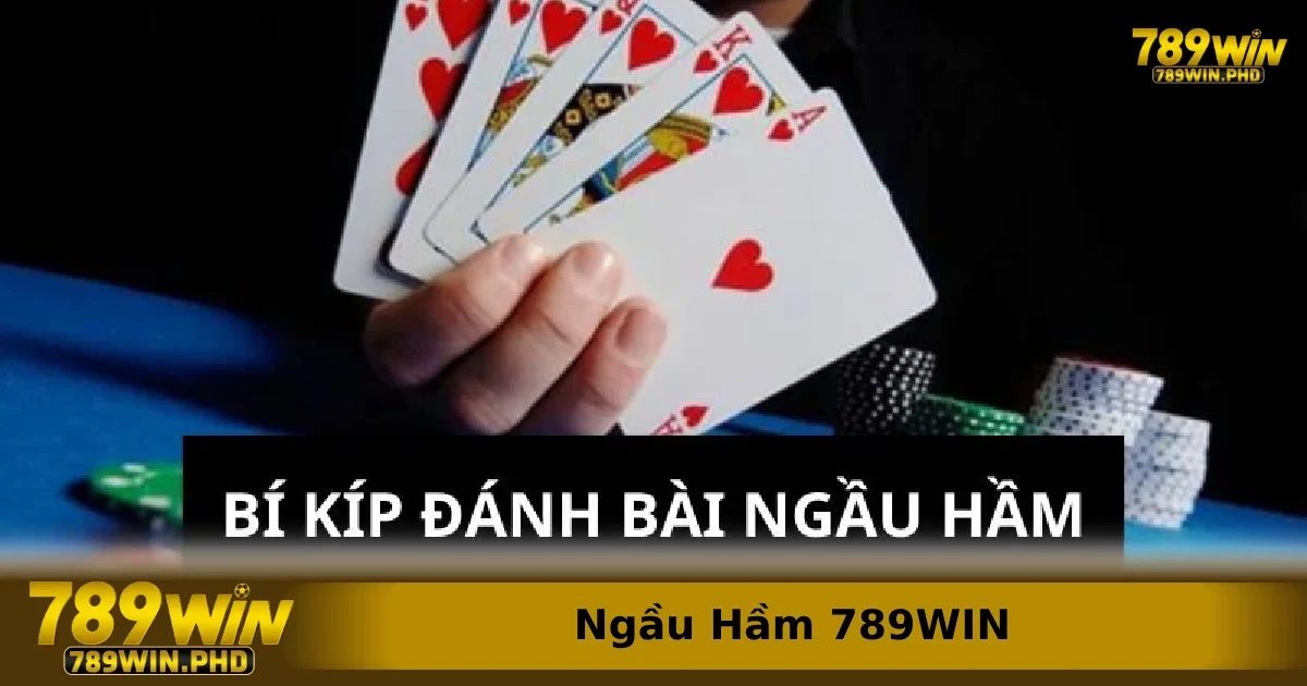 Bí kíp để chọn được nhà cái đáng tin cậy để chơi Ngầu Hầm